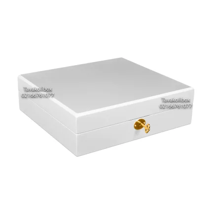 جعبه ساعت 15 خونه بالشتک لوکس کلیددار رنگ سفید مدل : TW-2452